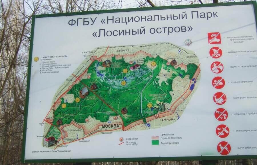    Фото: из открытых источников