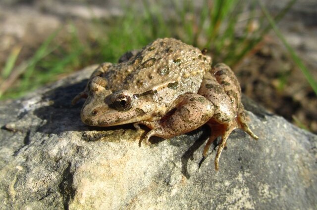    Фото: Пресс-служба Государственного музея-заповедника "Куликово поле"