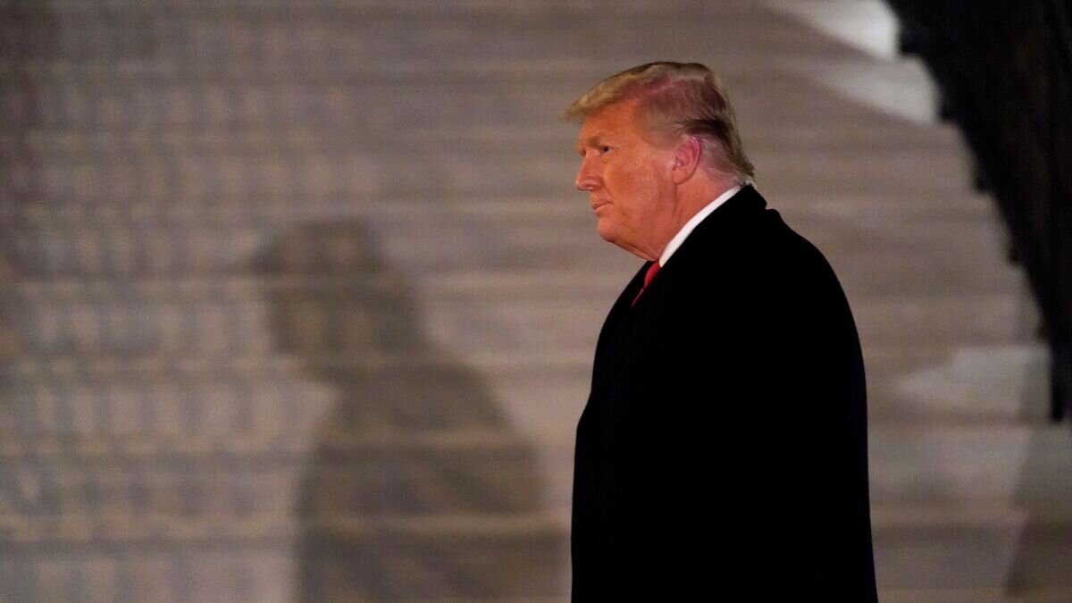    Дональд Трамп© AP Photo / Gerald Herbert