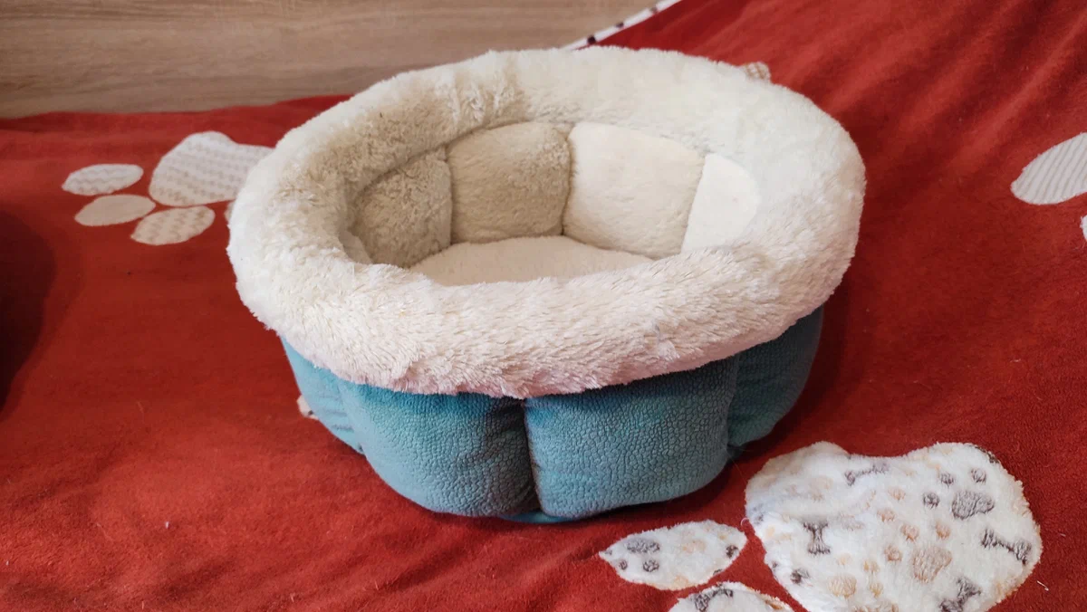 Любим ее, бережем :)) Фотография авторская из личного архива