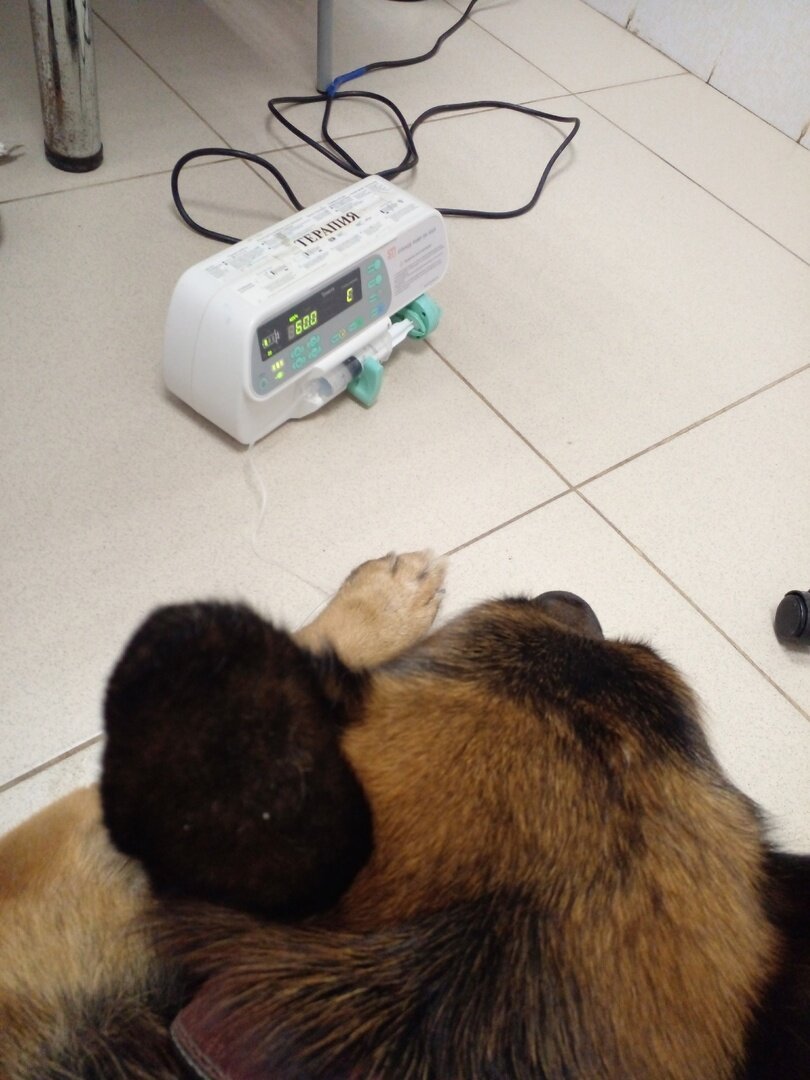 Подключили химию. Фото автора. 