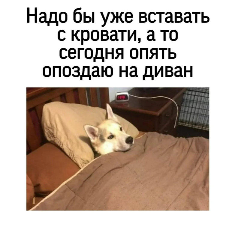 Добавьте описание