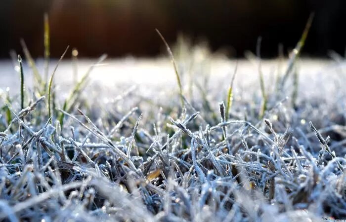    Внимание! На Астраханскую область в ближайшие дни обрушатся заморозки