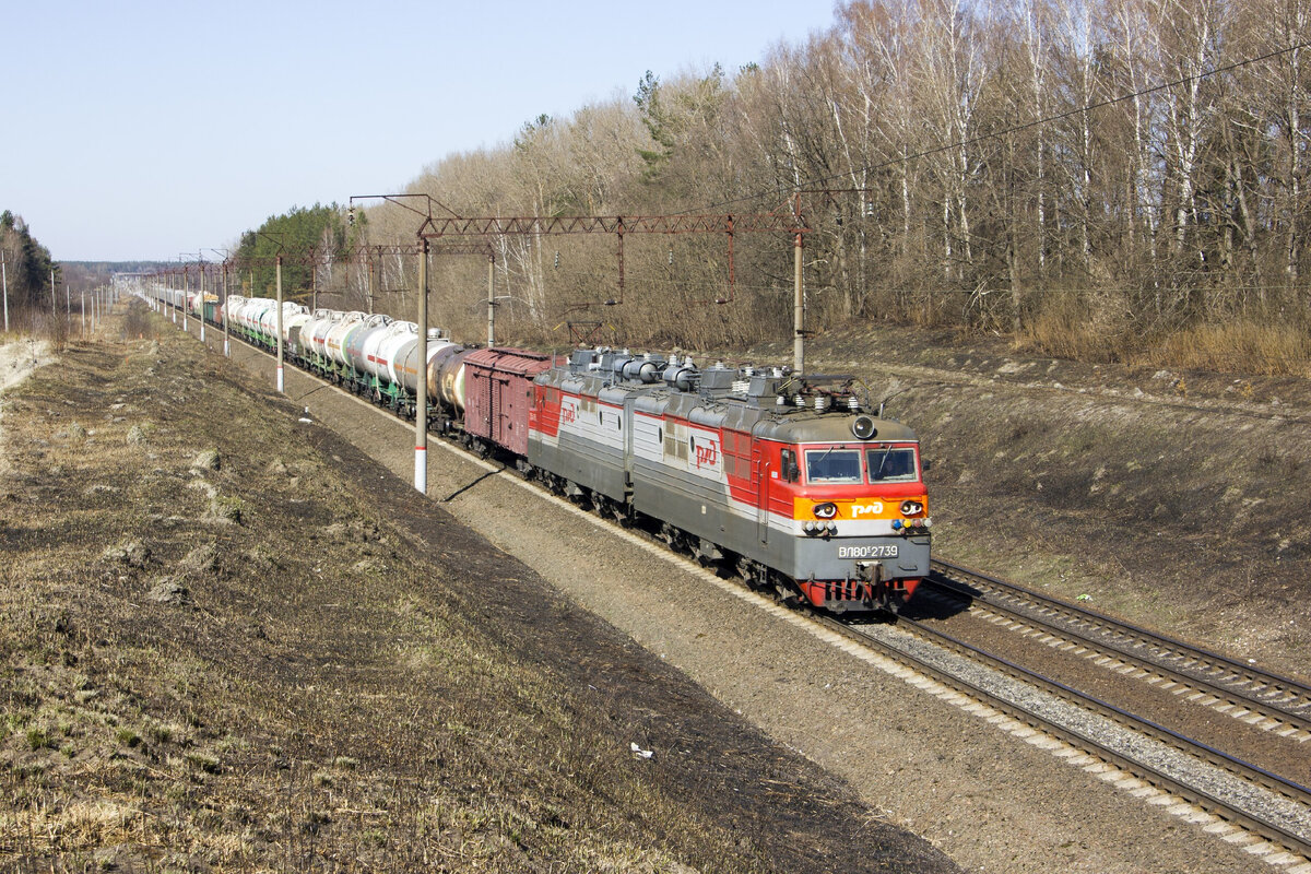 электричка синезерки брянск сегодня
