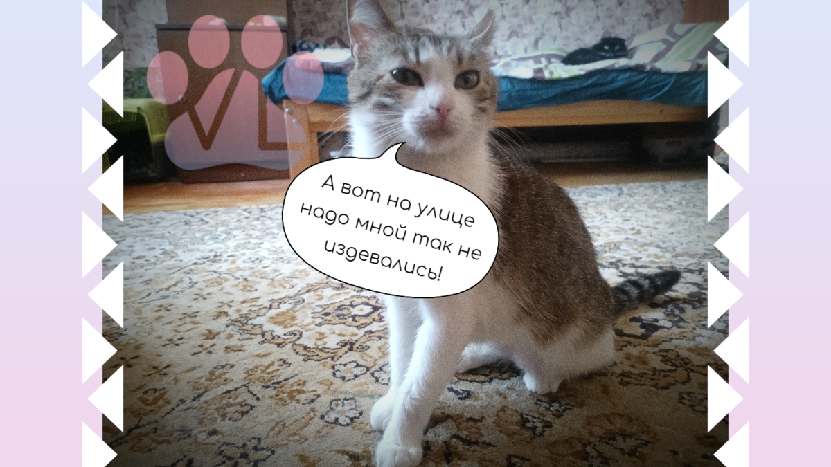 На улице у тебя, дорогая, и шерсть желтоватая была...