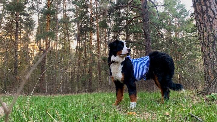 ФОТО: ЦАРЬГРАД