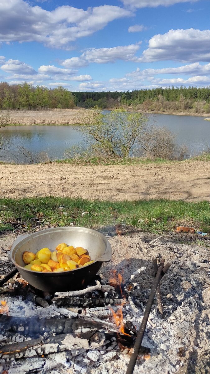 Дача. | Зоя Баркалова | Дзен