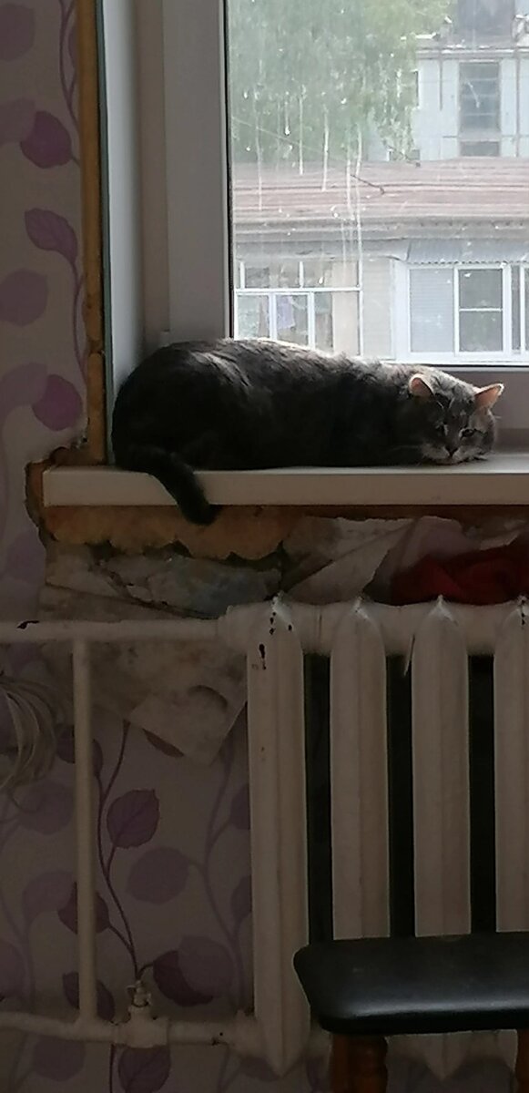 личное фото