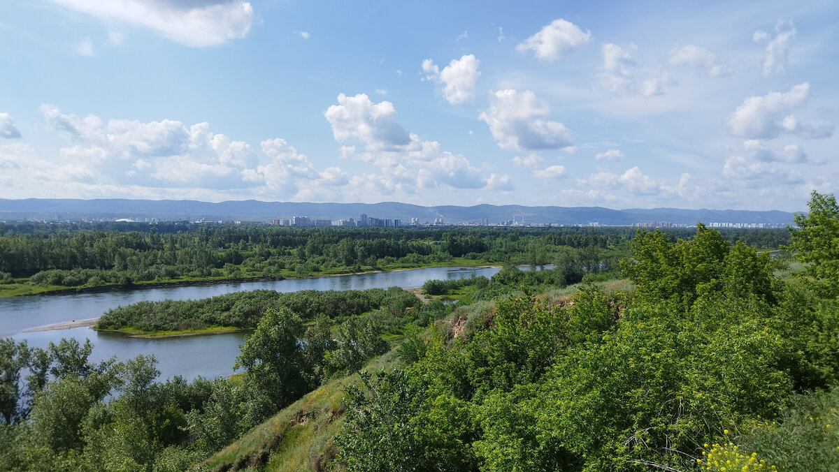 Обрыв в зеленой роще Красноярск. Зеленая роща Красноярск. Саянская роща Красноярск. Обрыв в районе Красноярска.