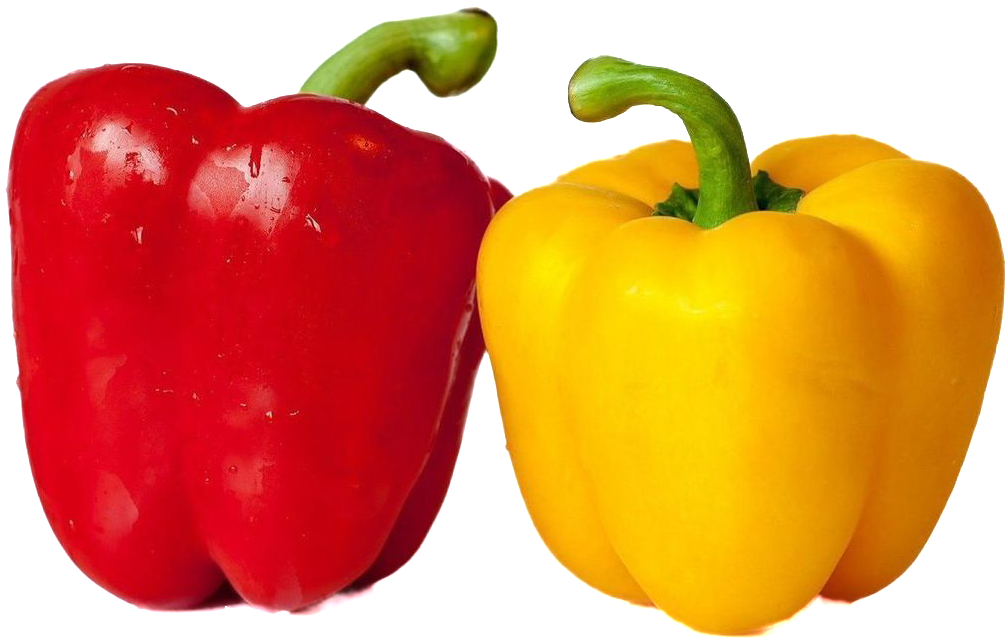 Болгарский перец