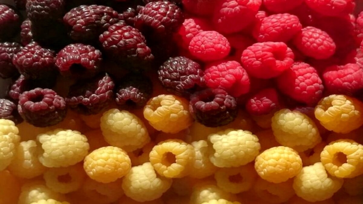 Тест по картинке