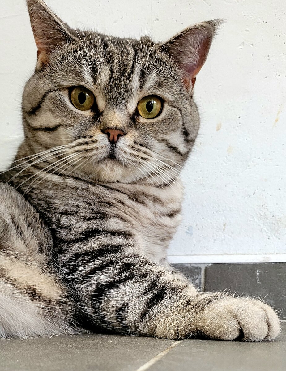 Как будто говорит: "И что, вы меня не покормите!?"