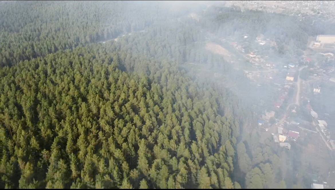 Фото: ГУ лесами Челябинской области.