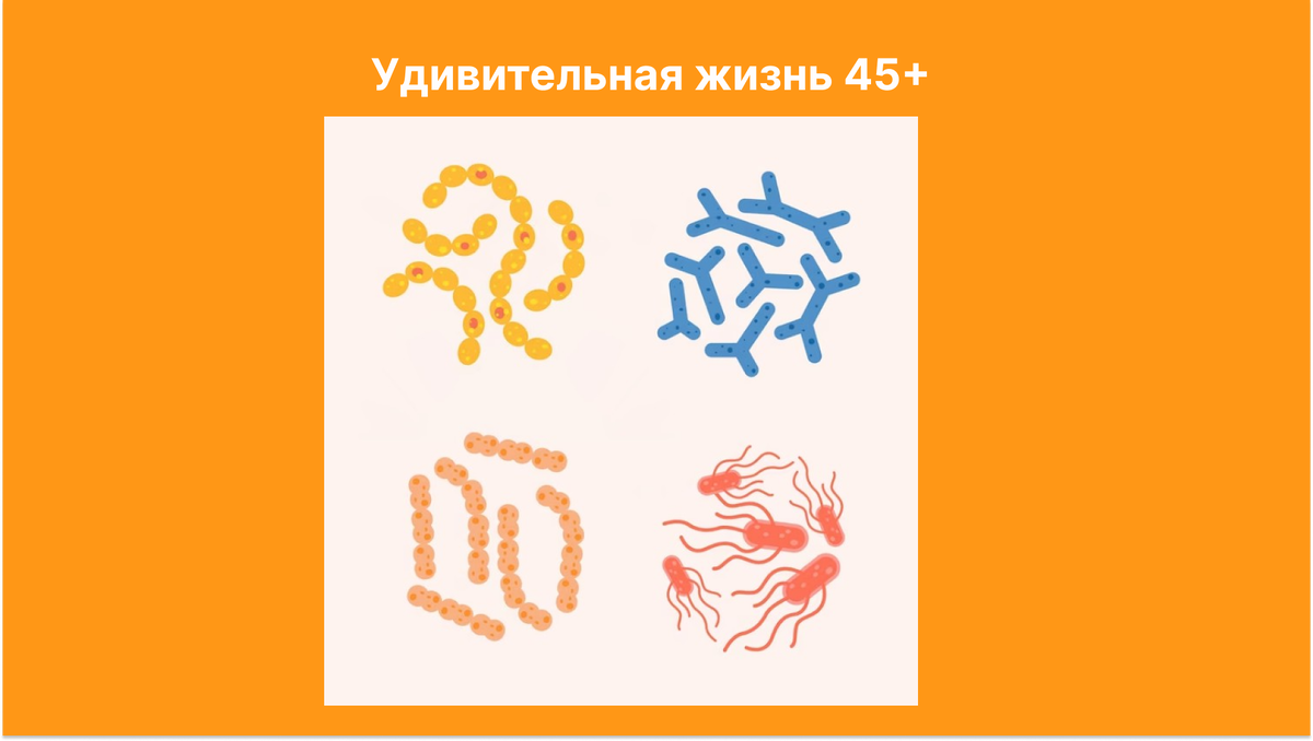 Фотография взята из открытых источников