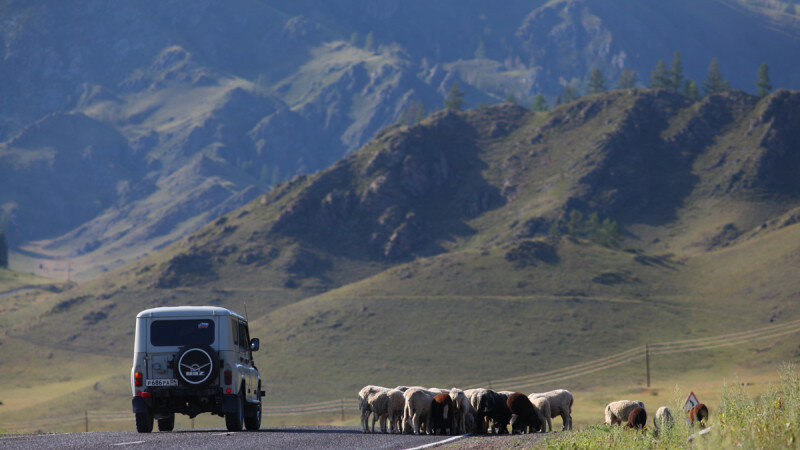     Чуйский тракт. Фото: Антон Петров.