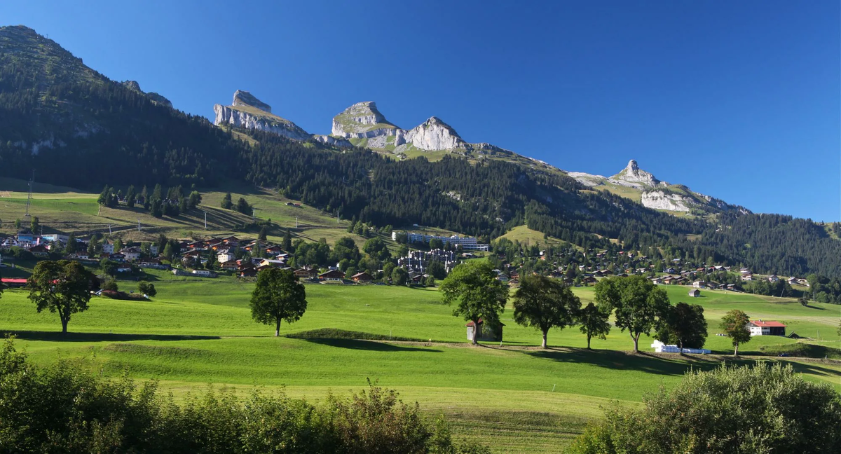 European summer. Лейзин Швейцария. Leysin Швейцария. Лейзан Швейцария. Leysin American School Швейцария.