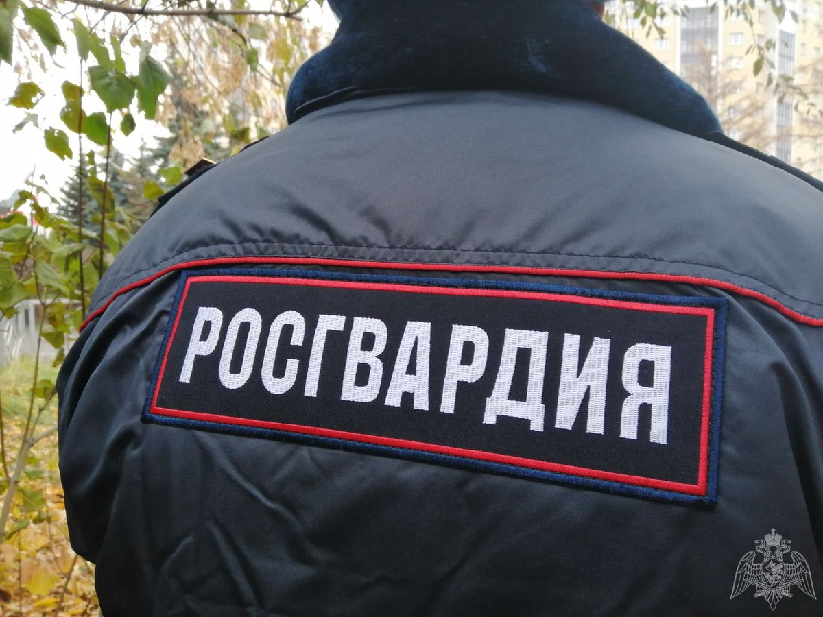 Росгвардия имеет право задерживать. Росгвардия имеет право задерживать. Может ли росгвардия проверять документы. Росгвардия имеет право задерживать. Имеет ли право останавливать росгвардия автомобиль.