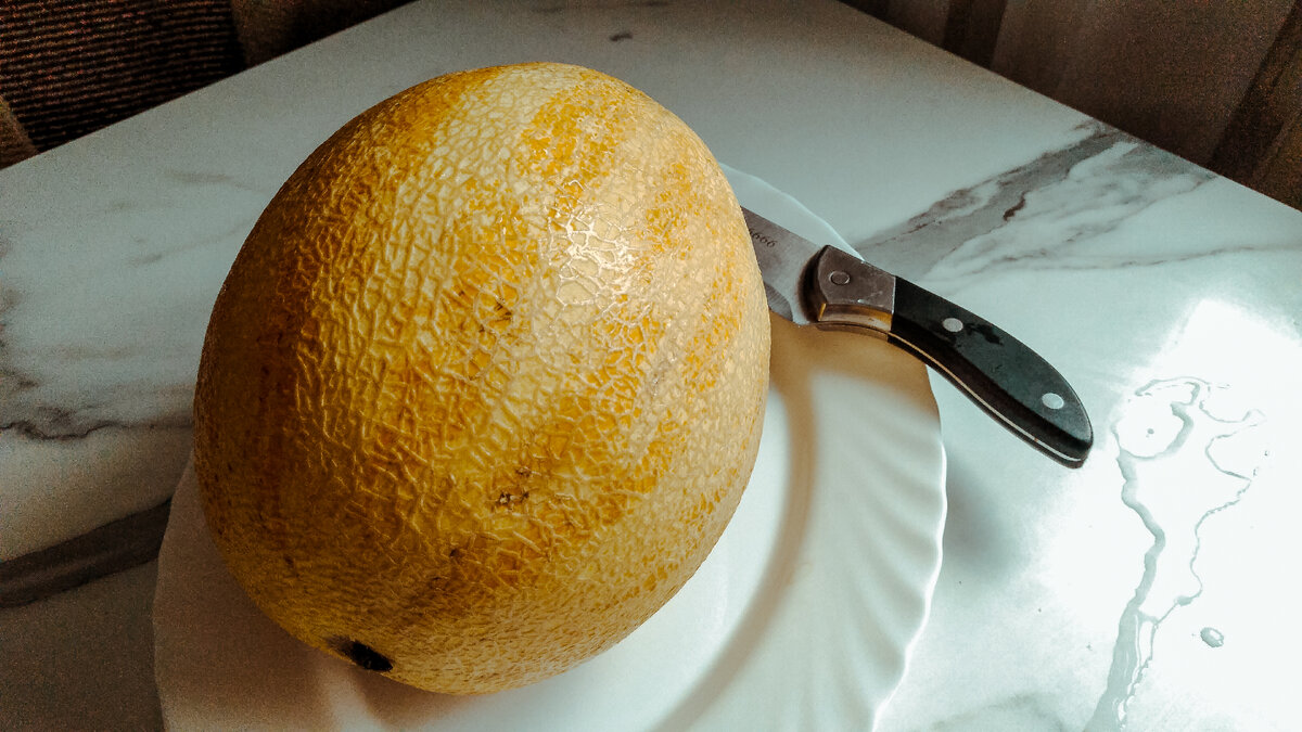 Купил дыню в июне