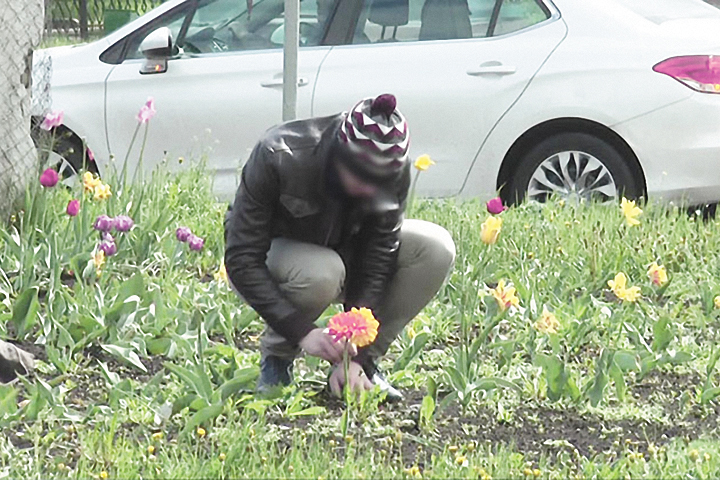 фото взято на яндекс картинках в свободном доступе