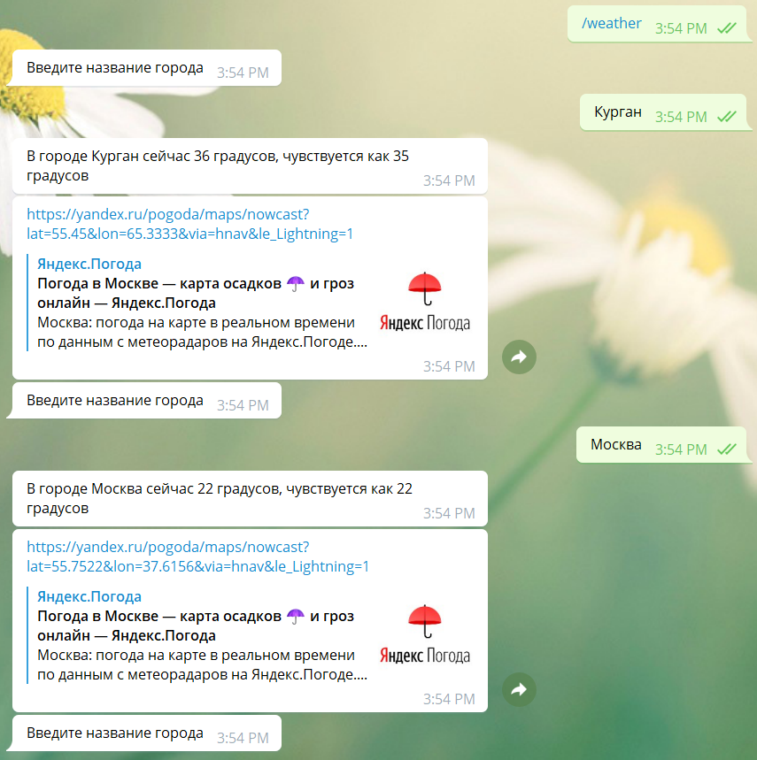 Пф бот telegram dailypfbot