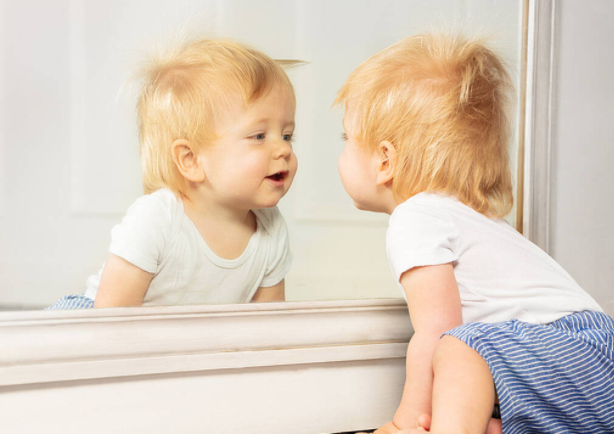 Если в зеркало смотреть, можно быстро поумнеть!