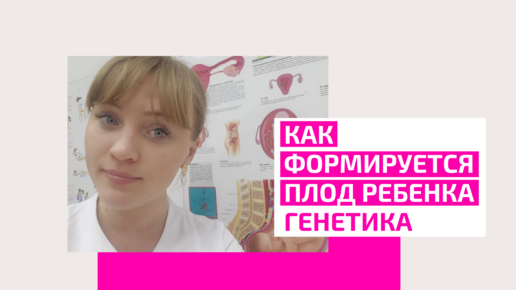 Как формируется плод ребенка?Что на это влияет?Генетика и здоровье вашего ребенка. Беременность.Акушер-гинеколог Ольга Прядухина