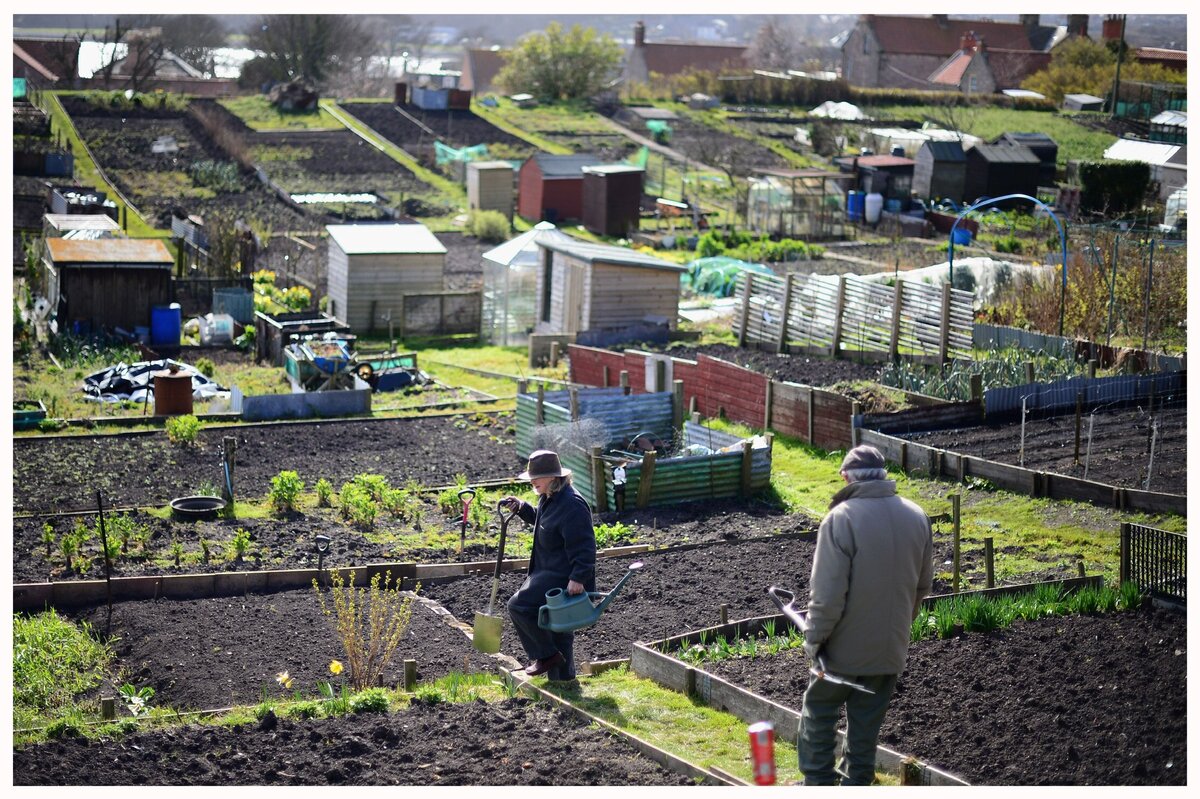 Вот так примерно выглядят allotments, фото с сайта tripsavvy.com