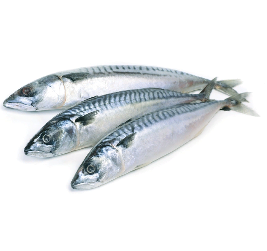 Фото взято из яндекс картинки 