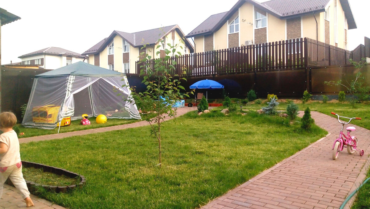 Наша лужайка