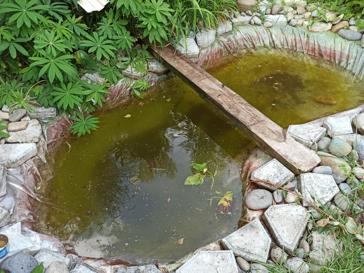 Водоем для полива и орошения с/х земель