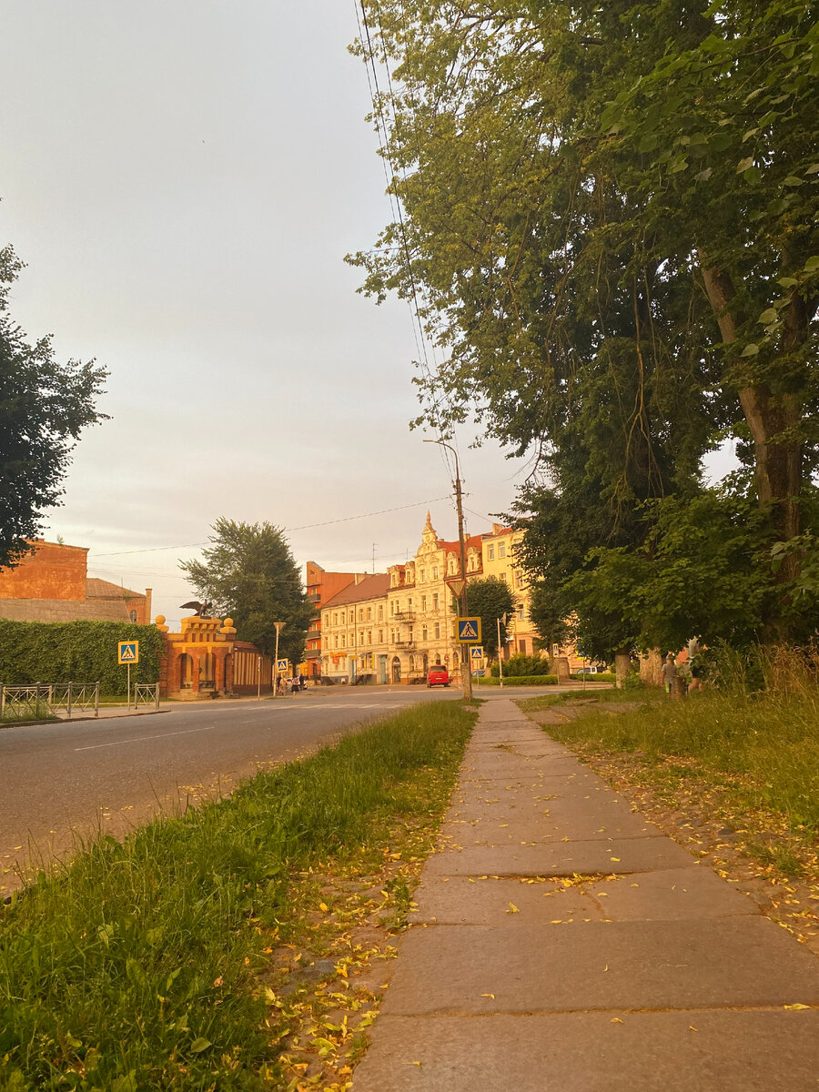 практически дорога в рай выложенная "свиными брюхами"