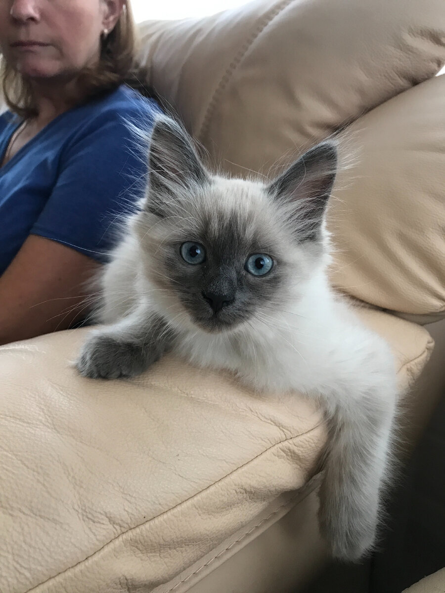 31.01.21 Тимоше два с половиной месяца 