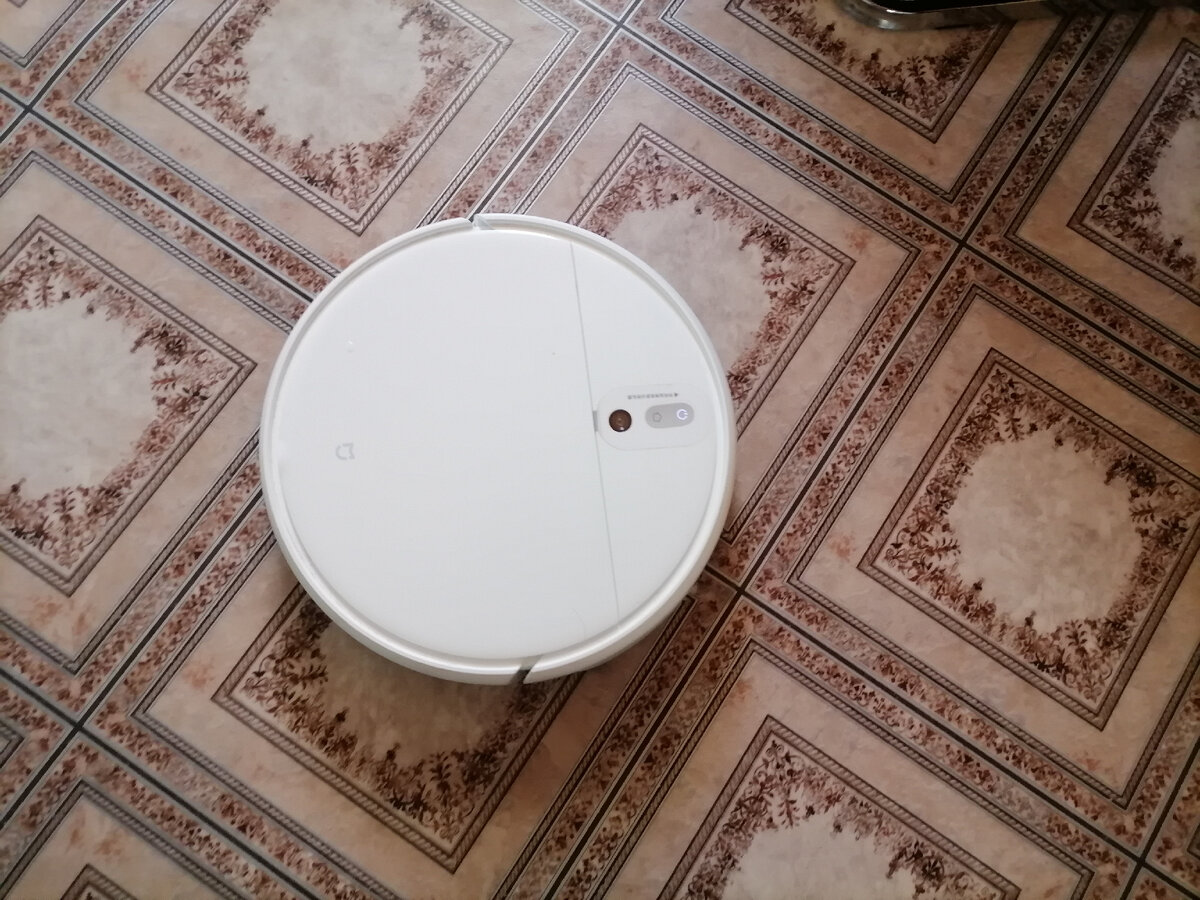 Отлично чистить линолеум. Фото автора