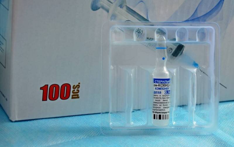 Фото: Михаил Пустовой