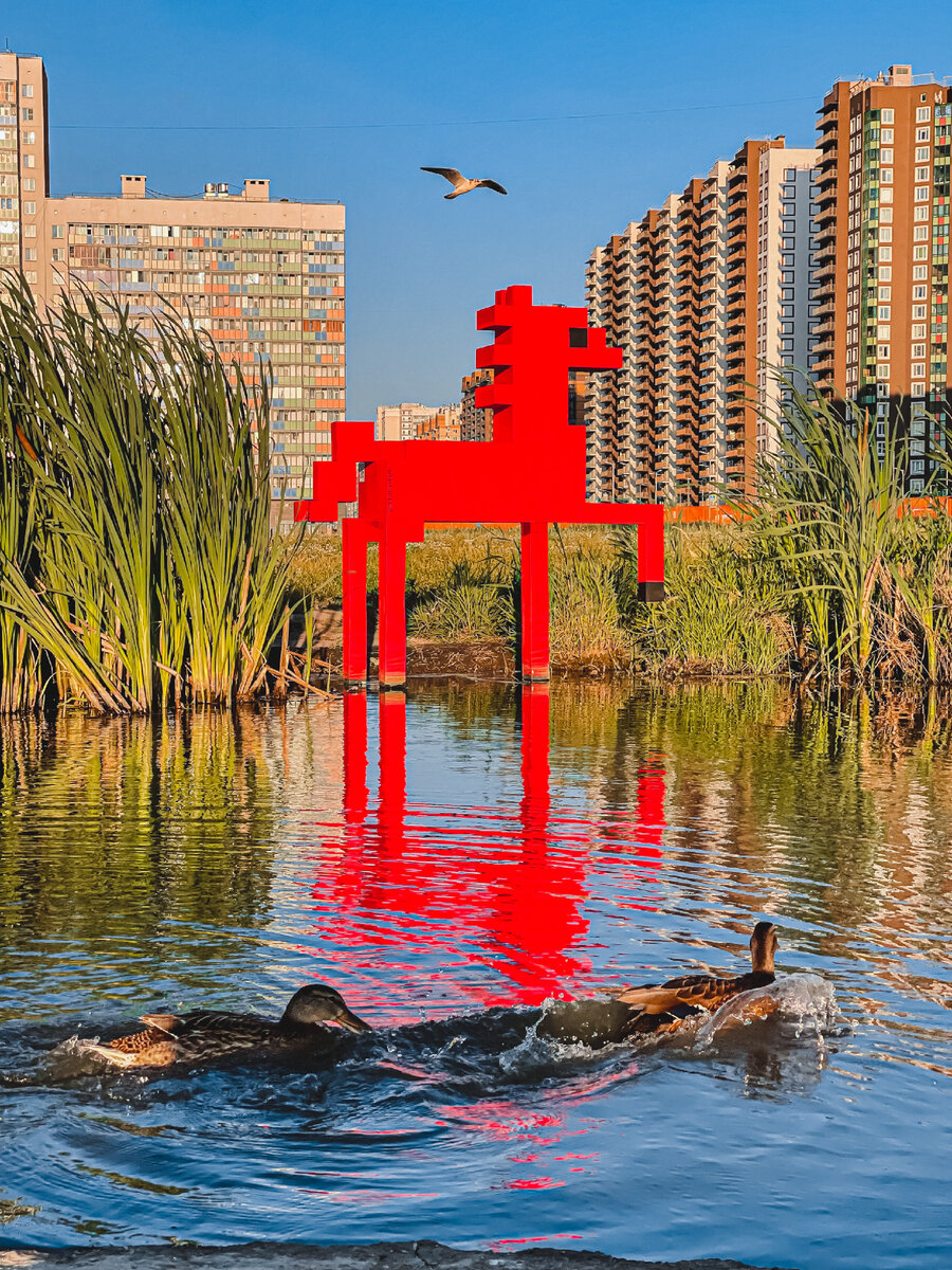 Фото автора 