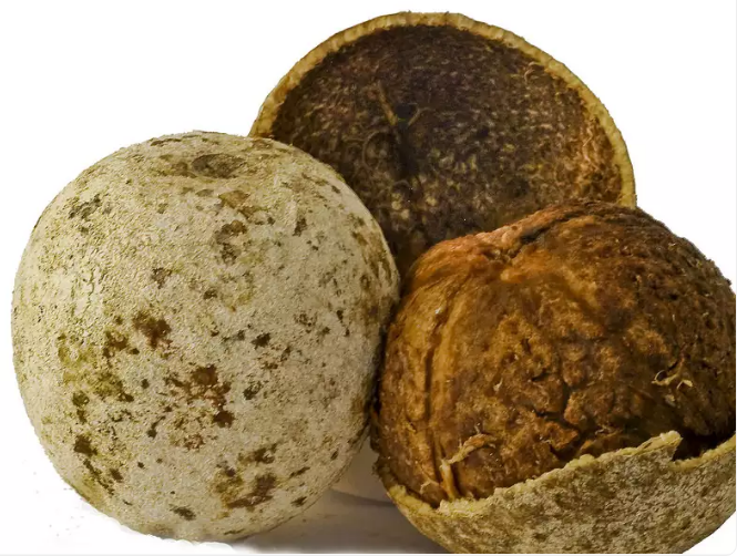 Древесное яблоко Фото - https://recipes.timesofindia.com/