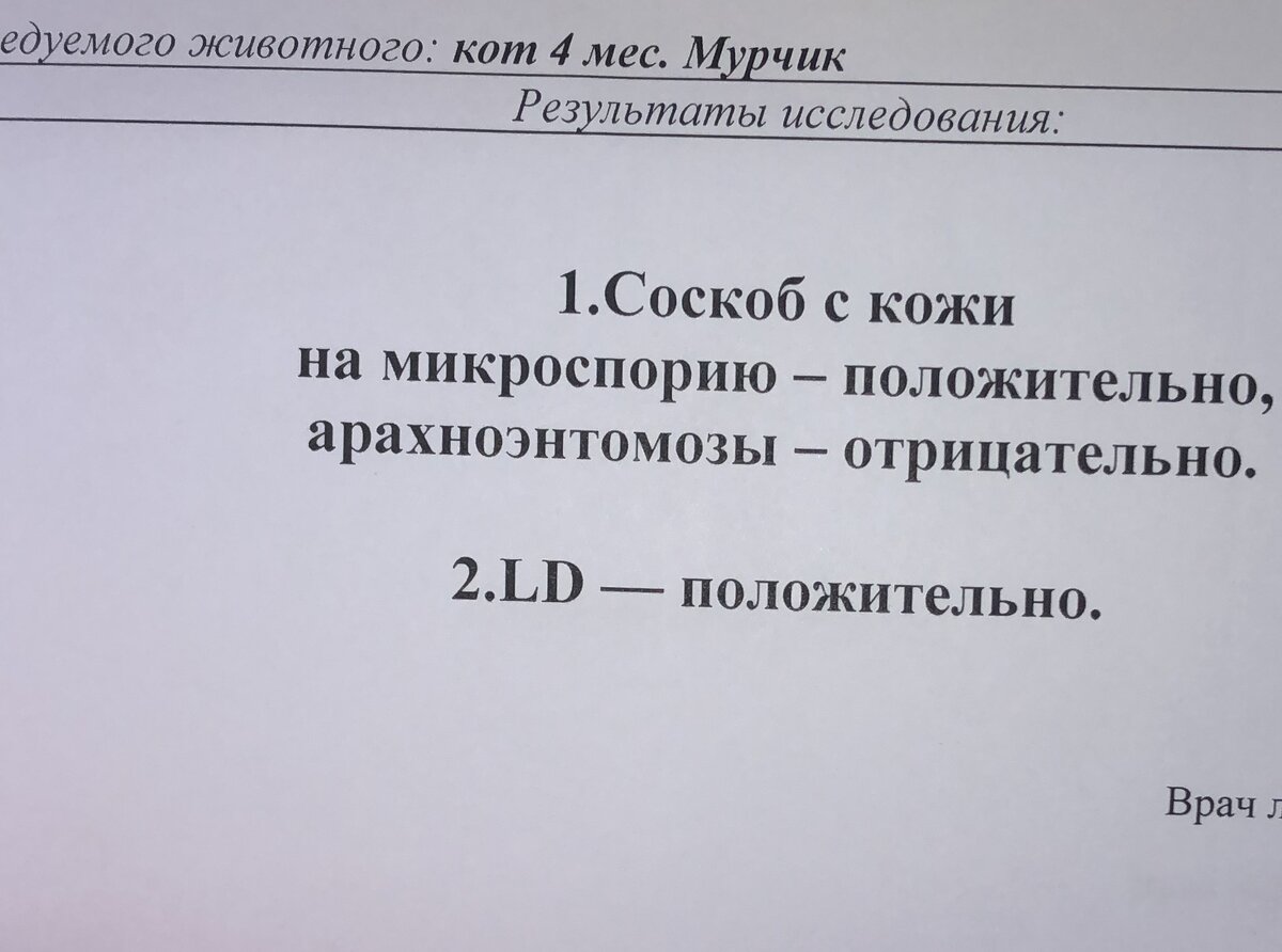 фото сделанное автором