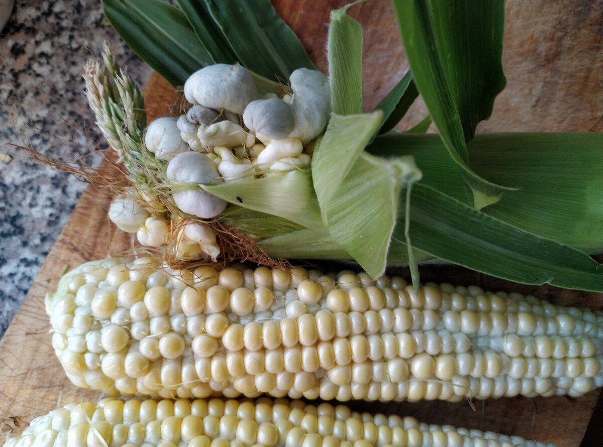 И с другой стороны