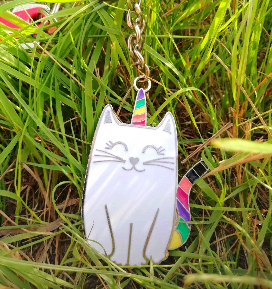 Котиков много не бывает) 