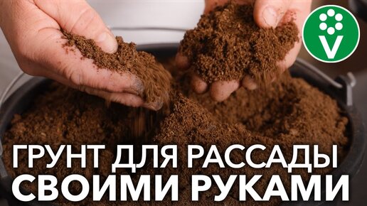 В ТАКОМ ГРУНТЕ ВЫРАСТЕТ ВСЕ! Готовим рыхлый и питательный грунт для рассады своими руками