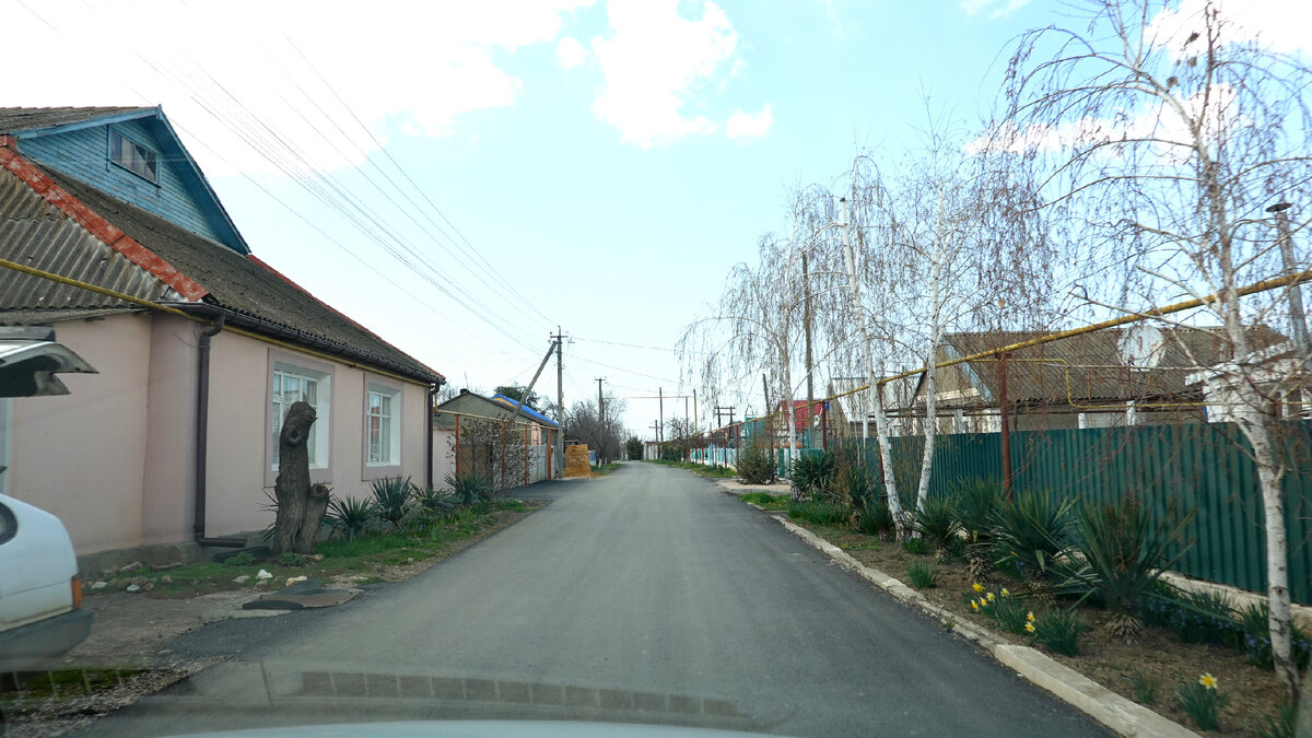 Тенистое