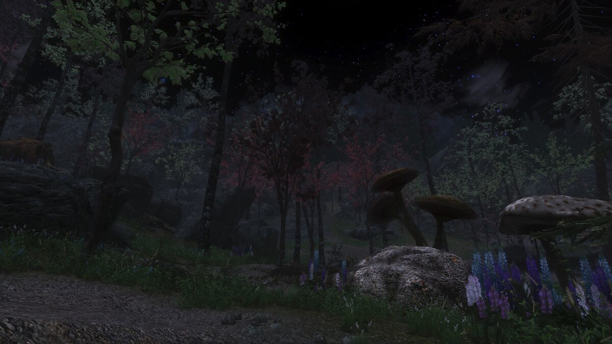 Так выглядит мод Dark Forest на моем компьютере. 