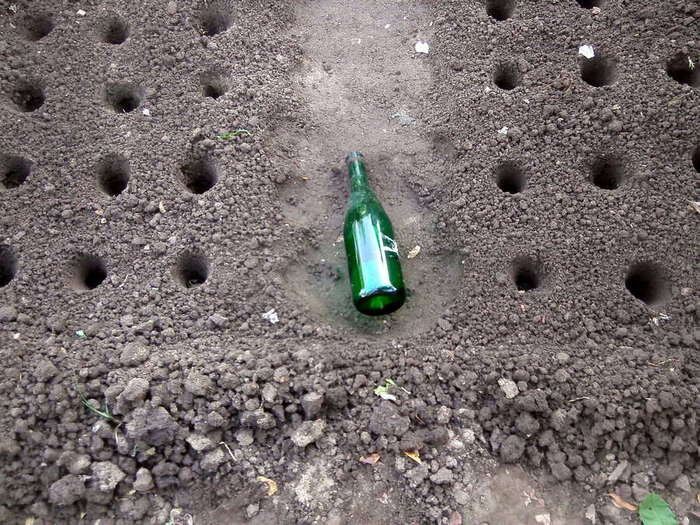 Ловите еще один огородный лайфхак. Как говорится, удобно-выгодно-практично!