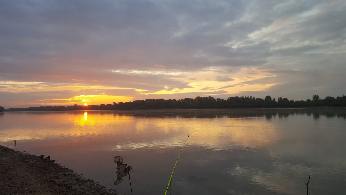 виды рыб на реке кама