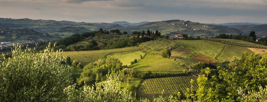 Фото с сайта pixabay