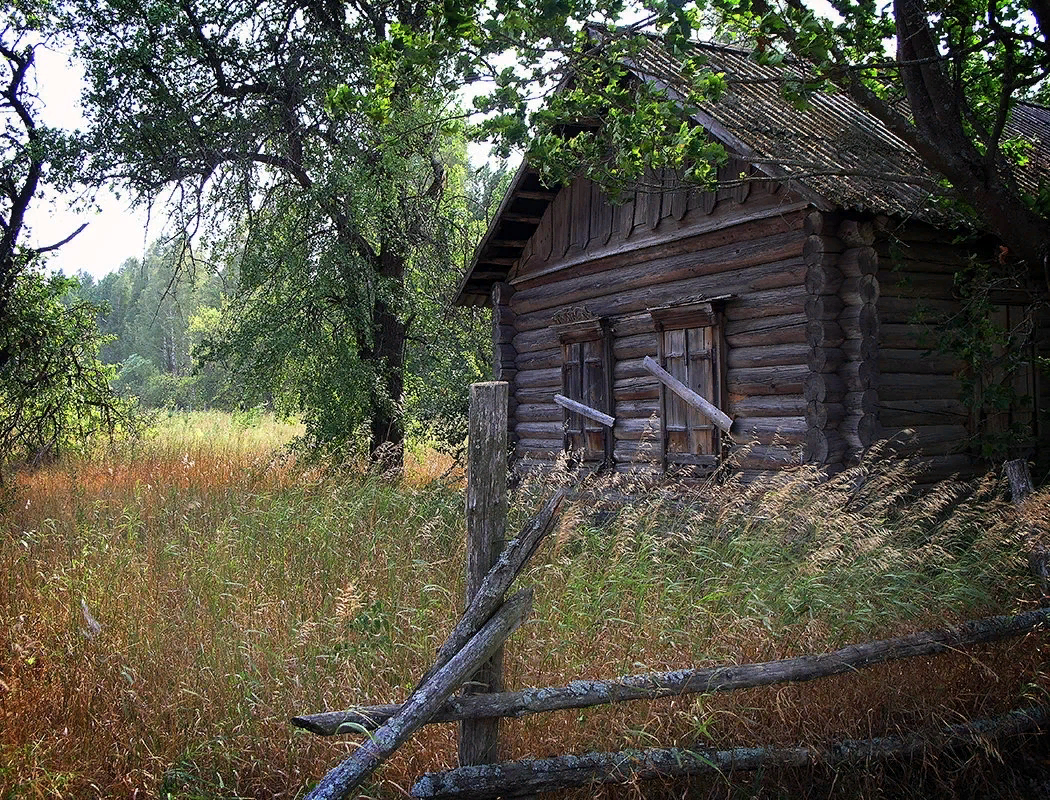 церковище псковская область. вымирающая деревня. деревенский домик. деревня деревеньки псковская область. лето в деревне.