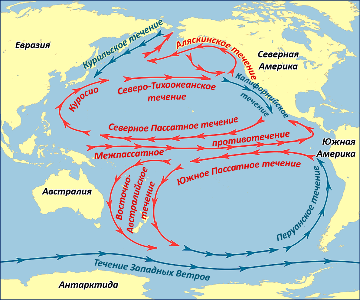 Холодные течения гвинейское. Тёплые течения Тихого океана Куросио. Карта течений Тихого океана. Северное пассатное течение на карте Тихого океана. Течение Куросио, перуанское течение.