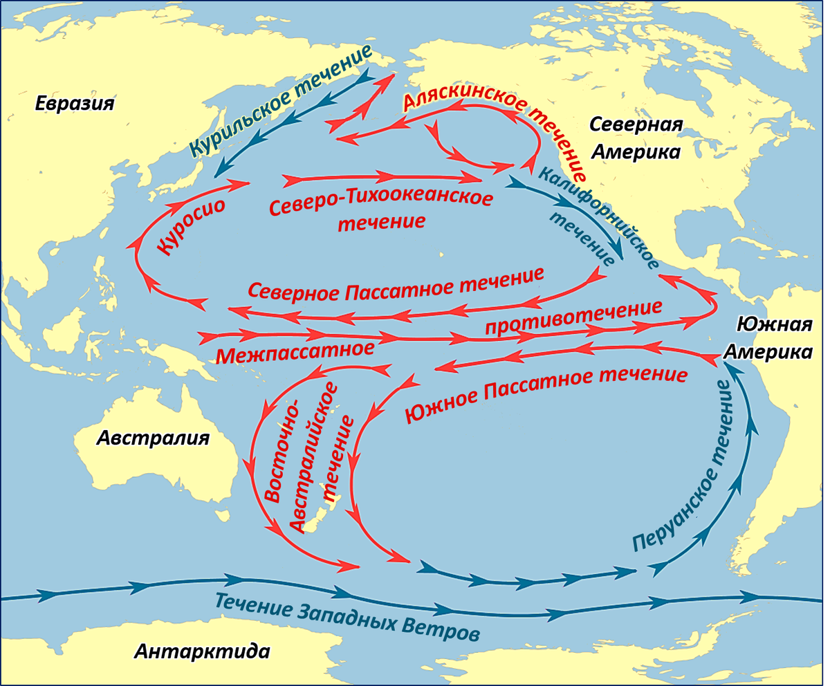 Теплые течения западных берегов. Тёплые течения Тихого океана Куросио. Карта течений Тихого океана. Течение Куросио, перуанское течение. Южное пассатное течение на карте.