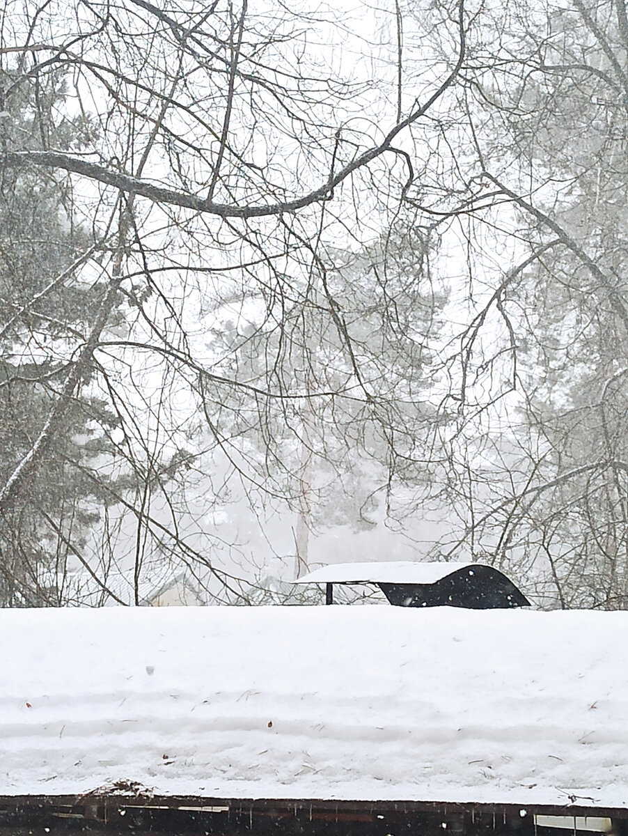 Зиму ждали!? Я пришла!Фото автора.