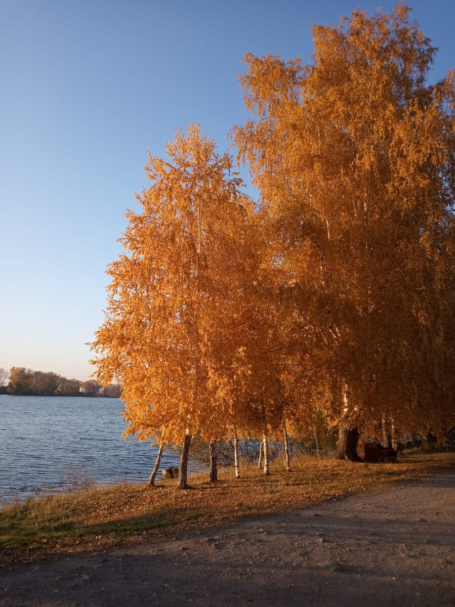 Наш берег. 